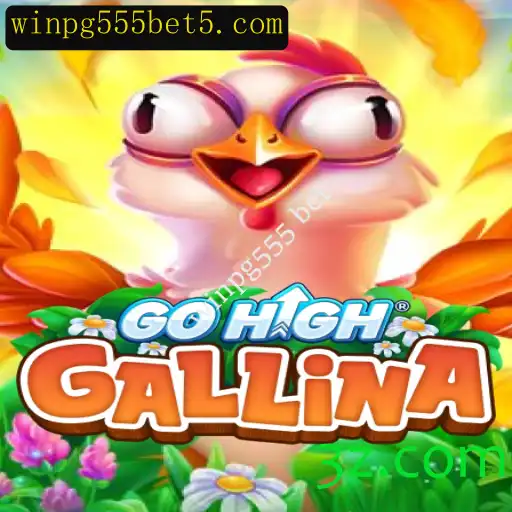GoHighGallina: Desvendando o Jogo e Suas Regras